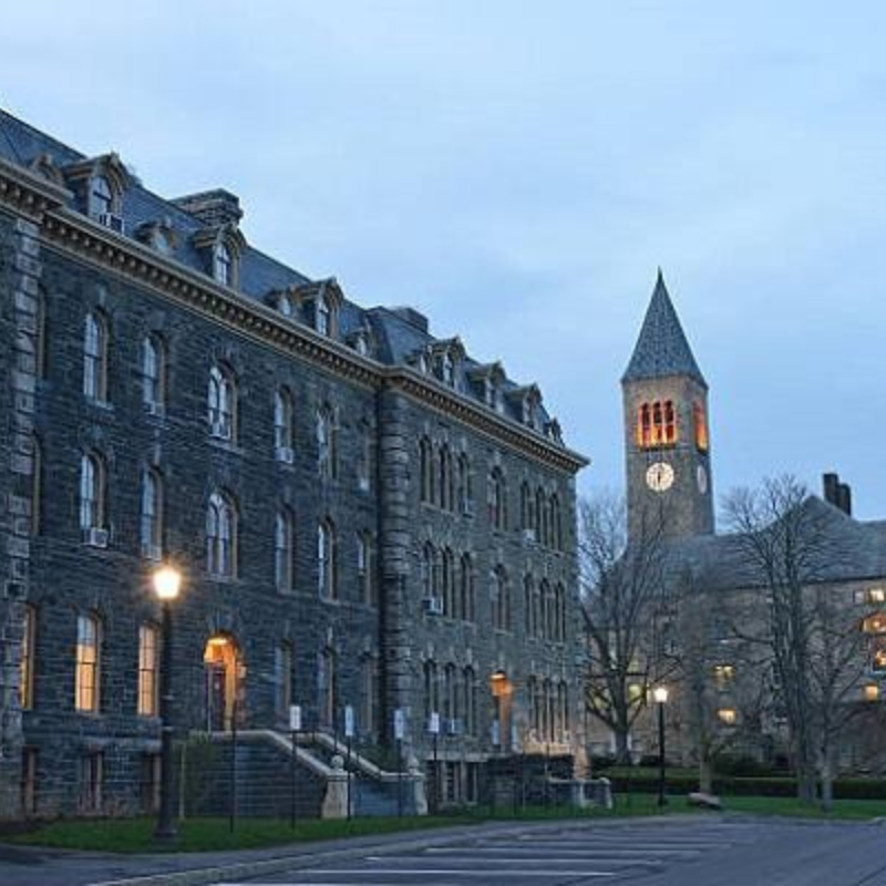 Cornell University 